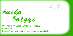 aniko volgyi business card