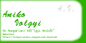 aniko volgyi business card